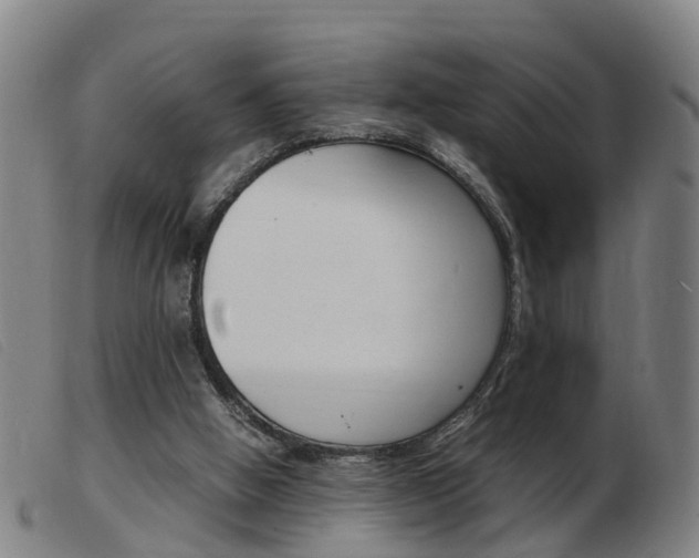 X0000103940058200809191157