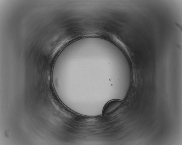 X0000103940059200809191157
