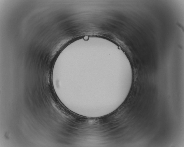 X0000103940060200809191157