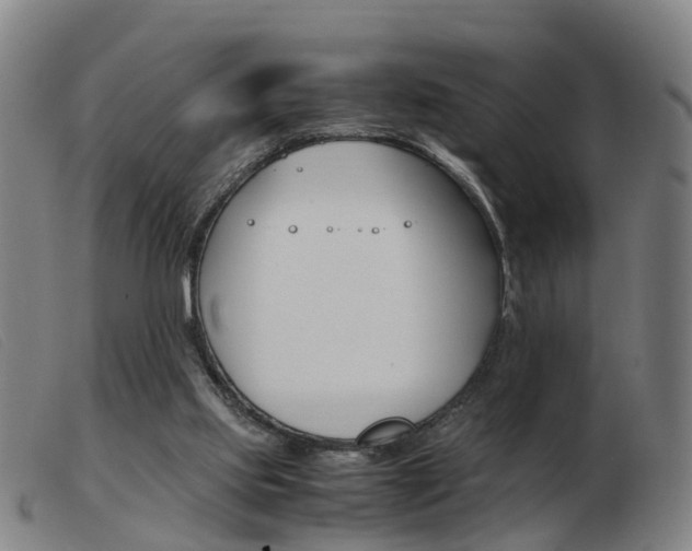 X0000103940061200809191157