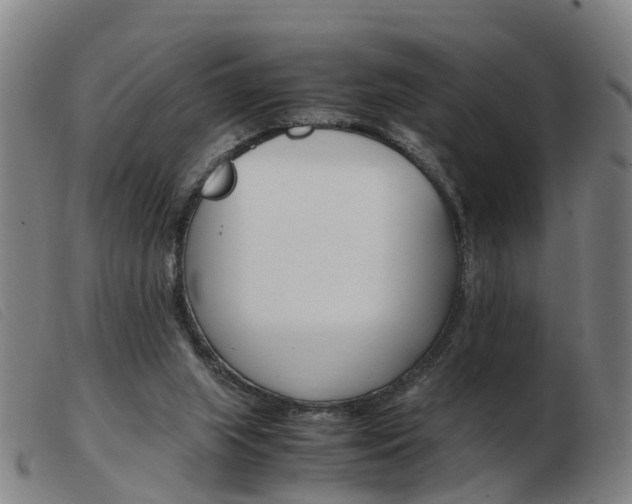 X0000103940063200809191157