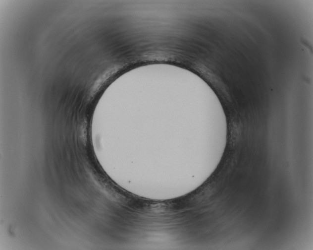 X0000103940064200809191157