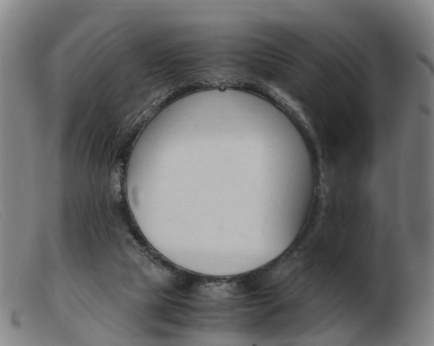X0000103940065200809191157
