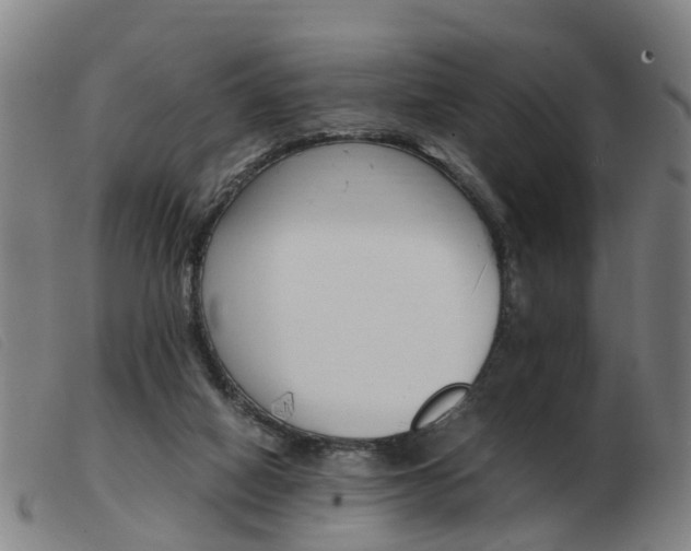 X0000103940066200809191157