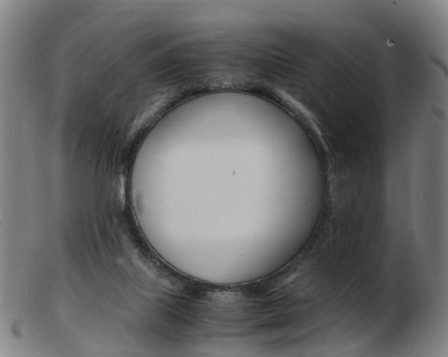 X0000103940067200809191157