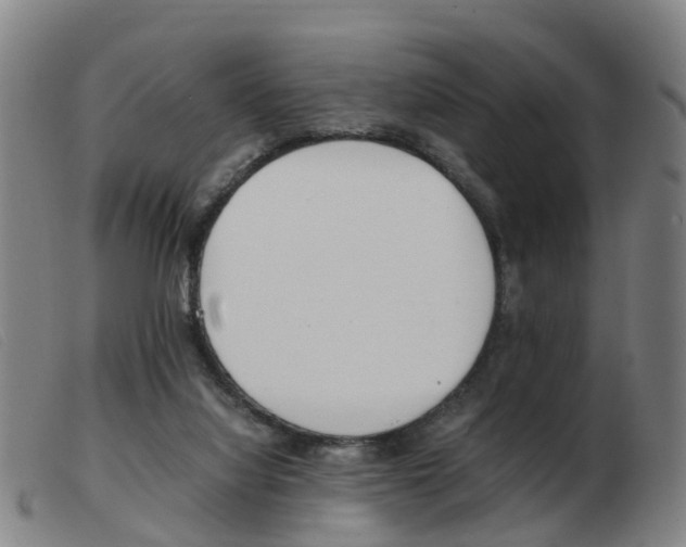 X0000103940068200809191157