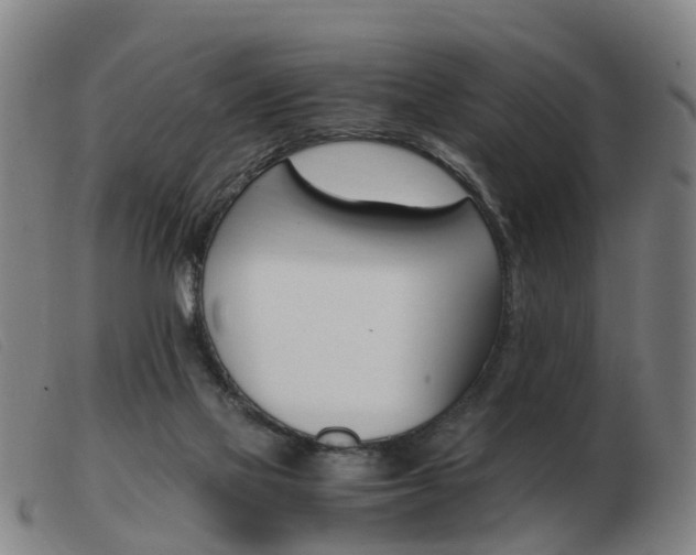 X0000103940069200809191157