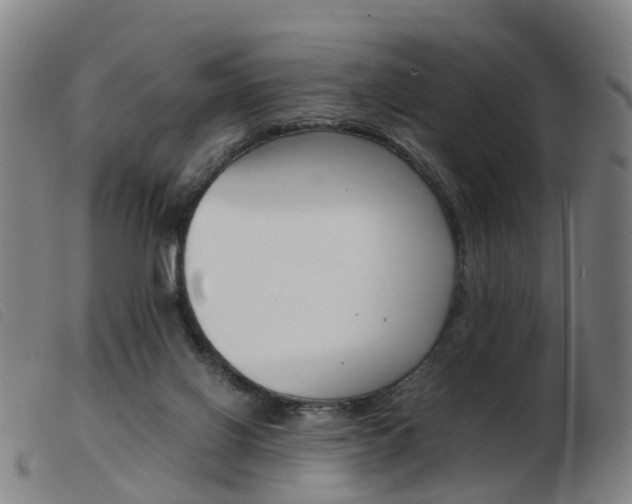 X0000103940070200809191157