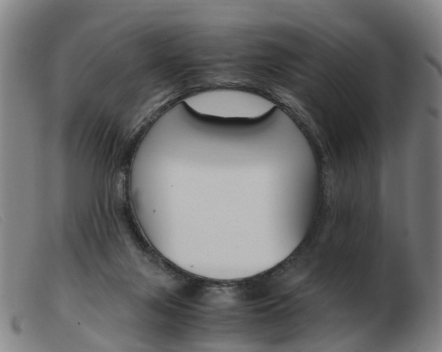 X0000103940071200809191157