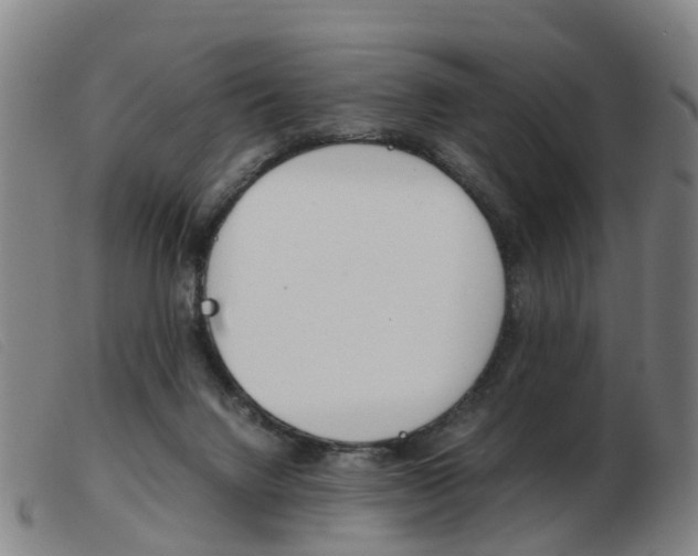 X0000103940072200809191157
