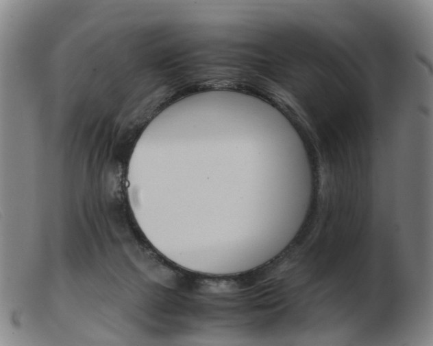 X0000103940073200809191157