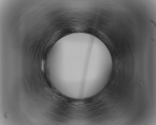 X0000103940075200809191157