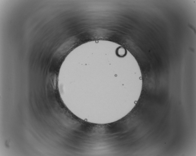 X0000103940076200809191157
