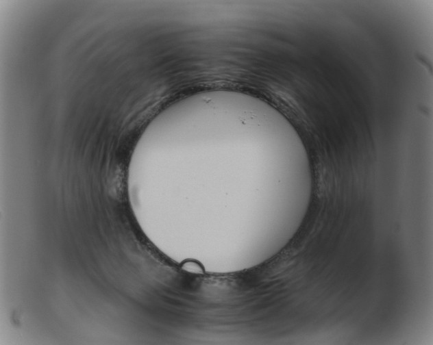 X0000103940077200809191157