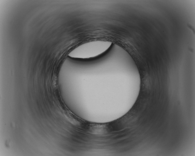 X0000103940081200809191157
