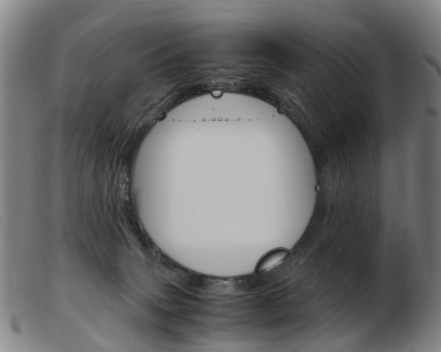 X0000103940083200809191157