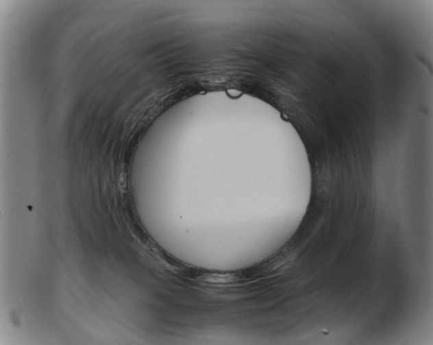 X0000103940085200809191157