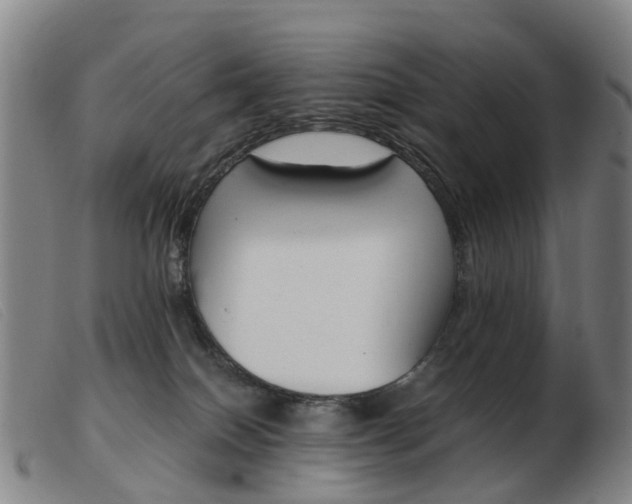 X0000103940086200809191157