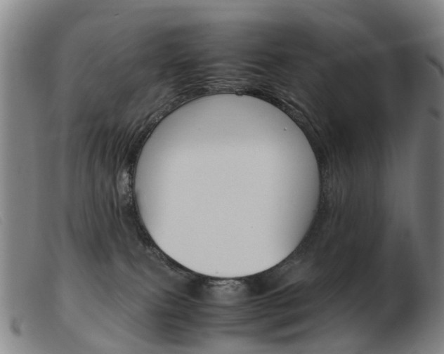 X0000103940087200809191157