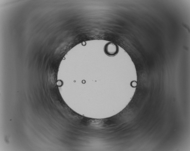 X0000103940088200809191157