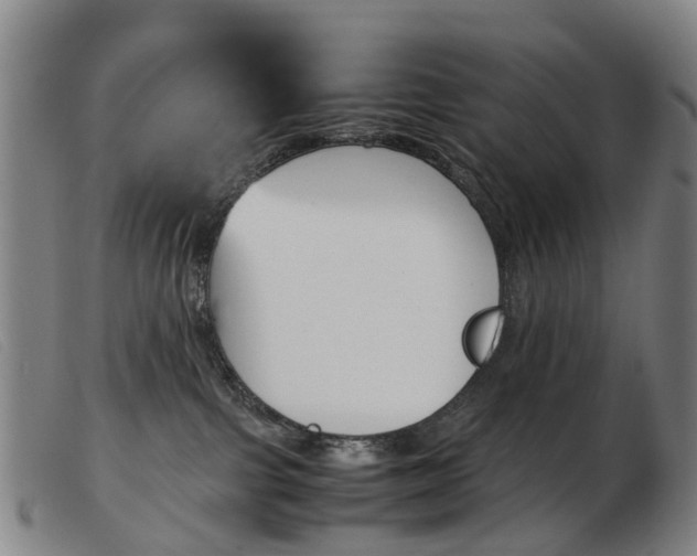X0000103940091200809191157