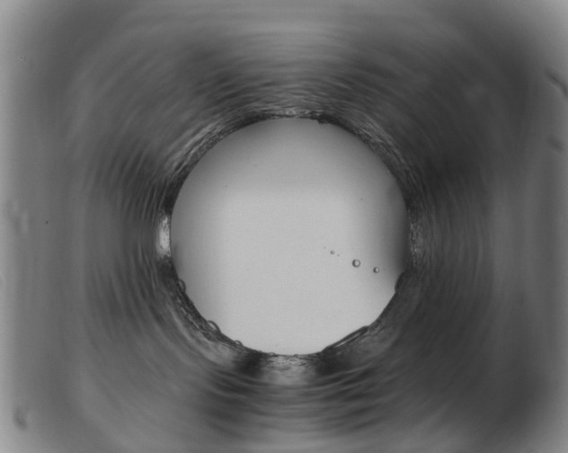 X0000103940095200809191157