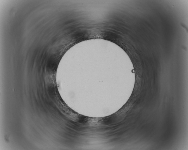 X0000103940096200809191157