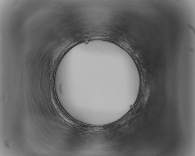 X0000103940097200809191157