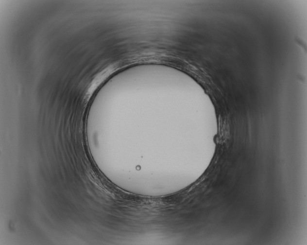 X0000103940099200809191157
