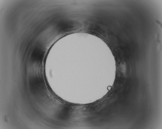 X0000103940100200809191157