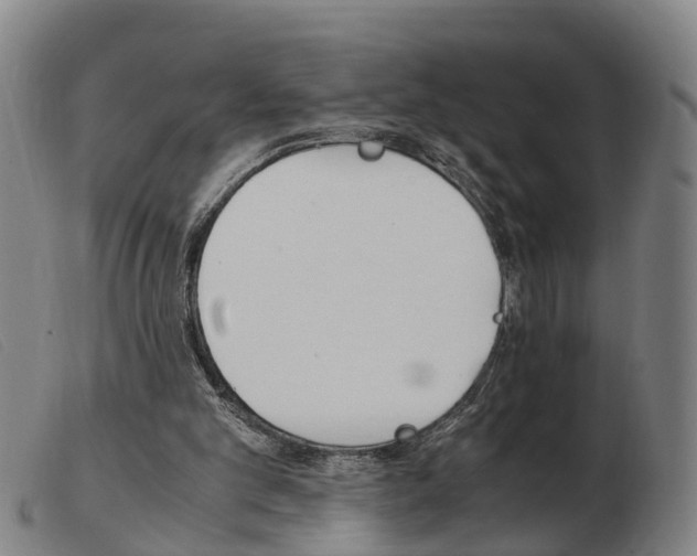 X0000103940101200809191157