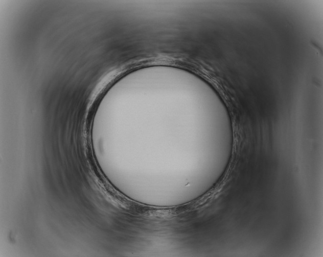 X0000103940102200809191157