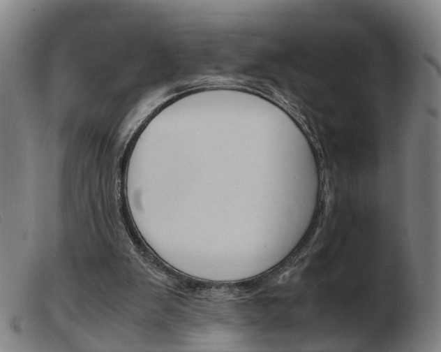 X0000103940103200809191157