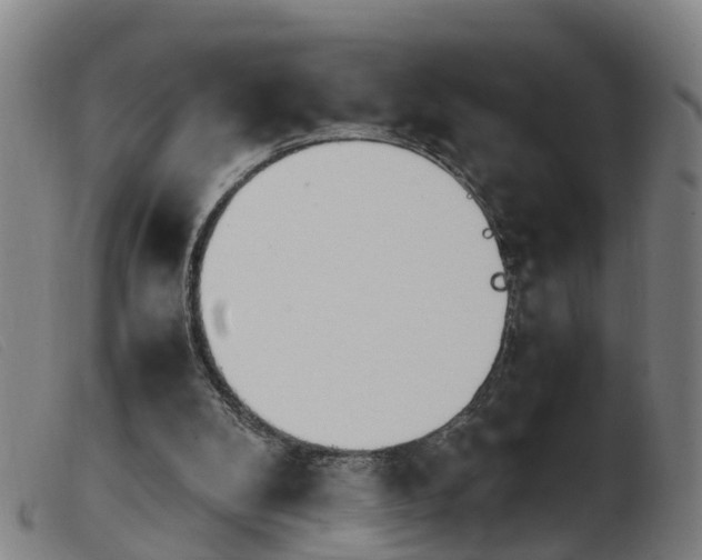 X0000103940104200809191157