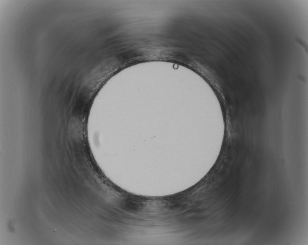 X0000103940105200809191157