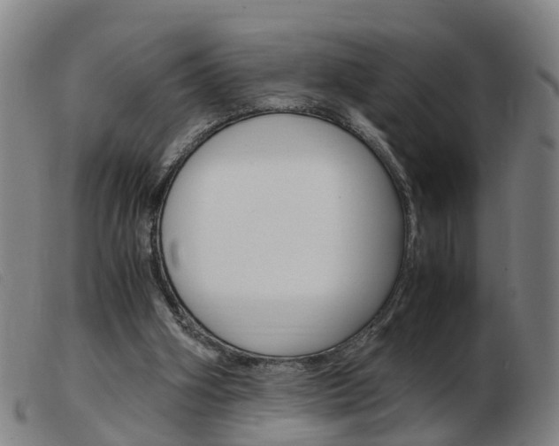 X0000103940106200809191157