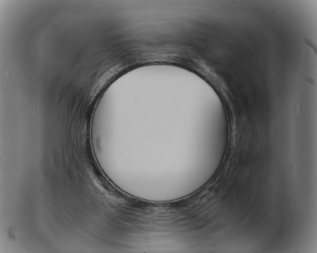 X0000103940107200809191156