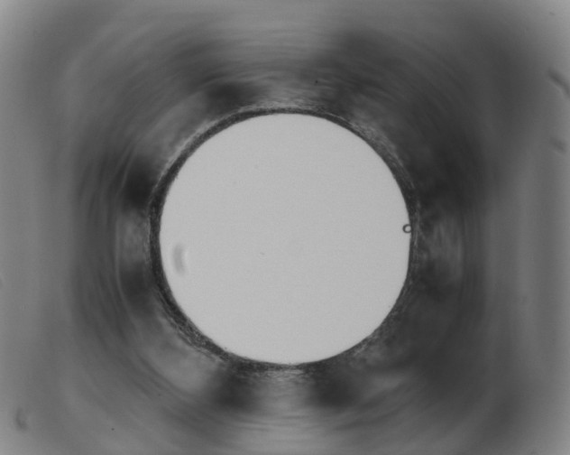 X0000103940108200809191156