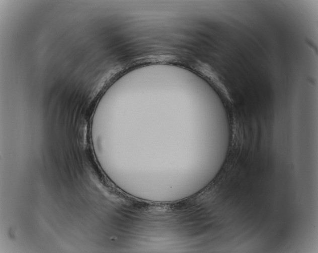 X0000103940110200809191156
