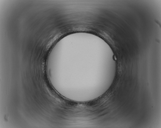 X0000103940111200809191156