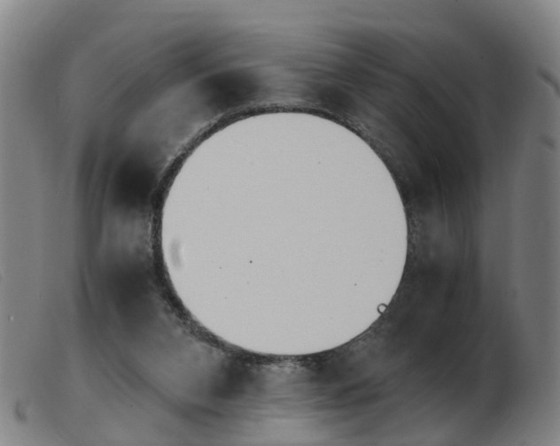 X0000103940112200809191156