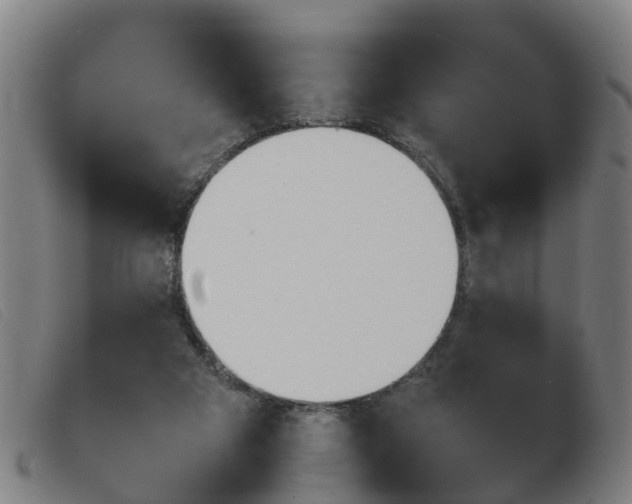 X0000103940113200809191156