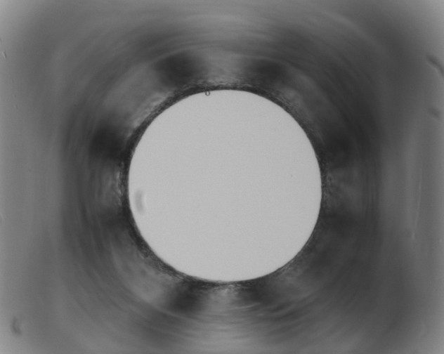 X0000103940116200809191156
