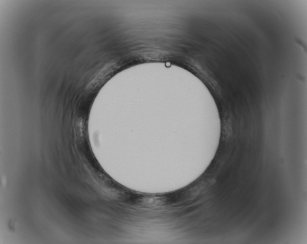X0000103940117200809191156