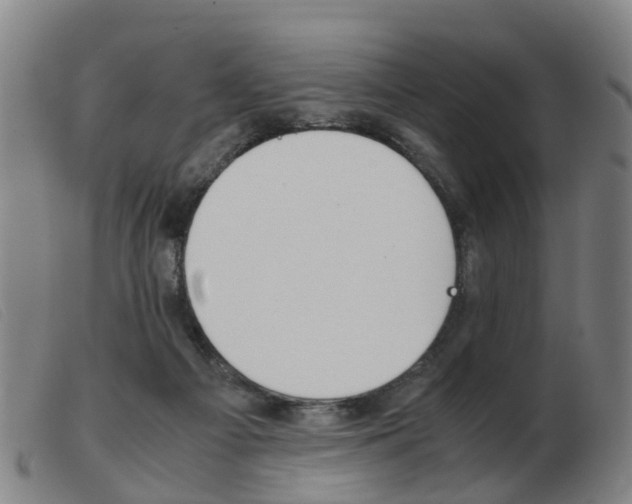 X0000103940121200809191156