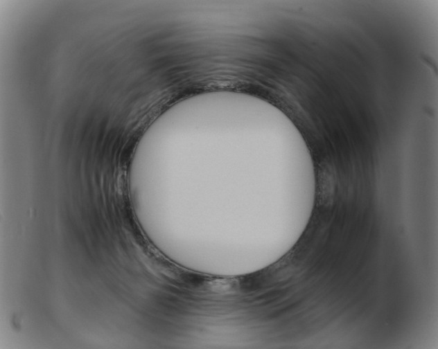 X0000103940126200809191156