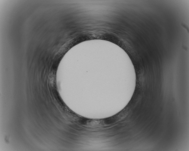 X0000103940129200809191156