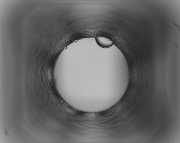 X0000103940131200809191156