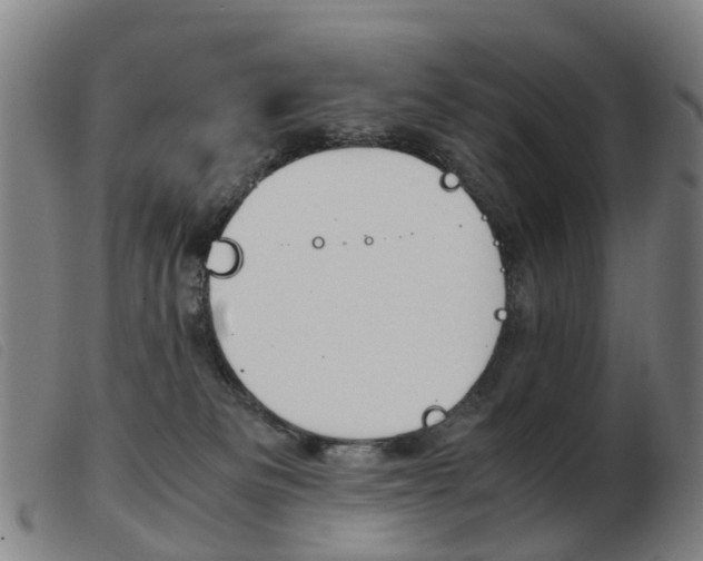 X0000103940133200809191156