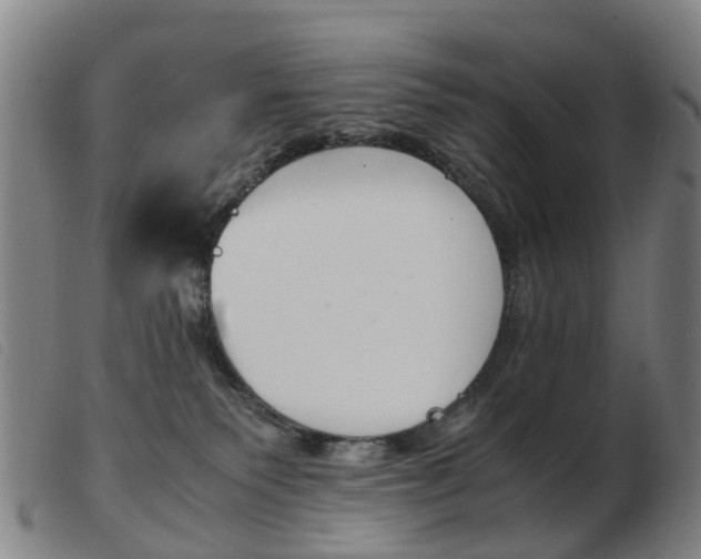 X0000103940135200809191156